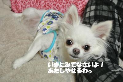20121213+004_convert_20121213093145.jpg
