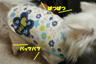 20121213+007_convert_20121213092957.jpg