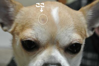 20121214+001_convert_20121214104610.jpg