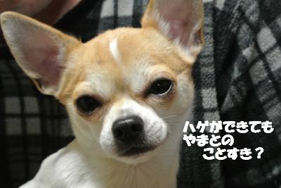 20121214+006_convert_20121214104806.jpg