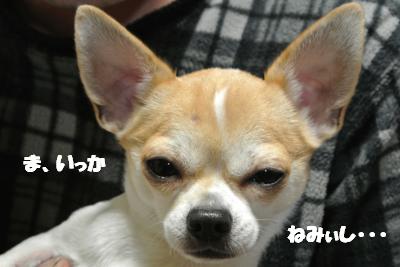 20121214+007_convert_20121214104836.jpg