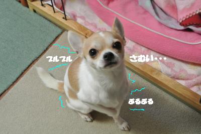 20121217+006_convert_20121220105648.jpg