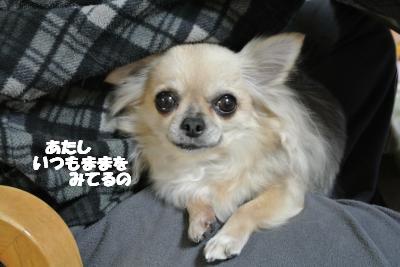20121217+007_convert_20121220104510.jpg