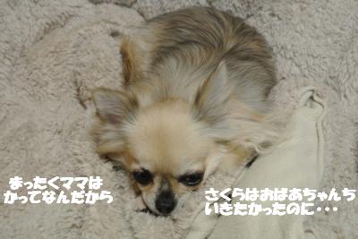 20121217+010_convert_20121217110000.jpg