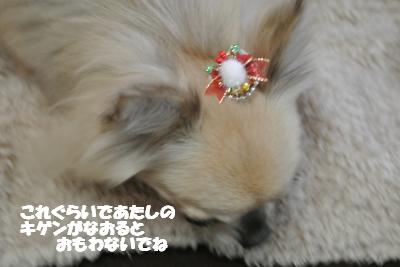 20121217+011_convert_20121217110237.jpg