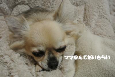 20121217+014_convert_20121217110109.jpg