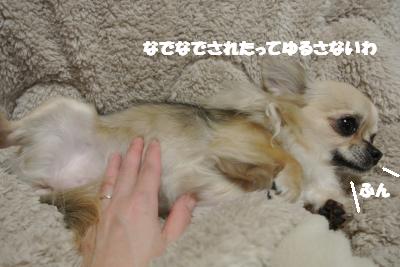 20121217+015_convert_20121217110031.jpg