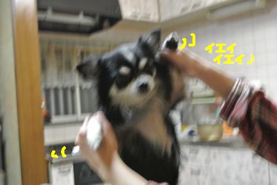 20121218+002_convert_20121218133114.jpg