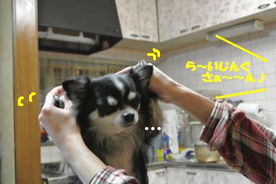 20121218+003_convert_20121218133149.jpg