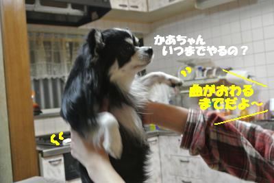 20121218+004_convert_20121218133236.jpg