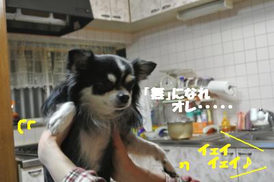 20121218+005_convert_20121218133302.jpg