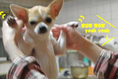20121218+009_convert_20121218133426.jpg