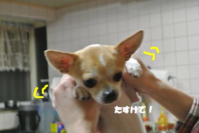 20121218+010_convert_20121218133459.jpg