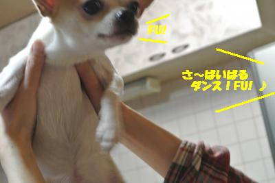 20121218+011_convert_20121218133528.jpg