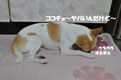 20121219+003_convert_20121219100539.jpg