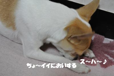 20121219+005_convert_20121219100606.jpg