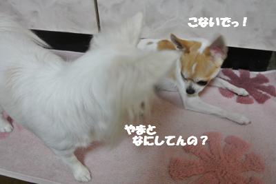 20121219+006_convert_20121219100631.jpg