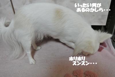 20121219+009_convert_20121219100928.jpg