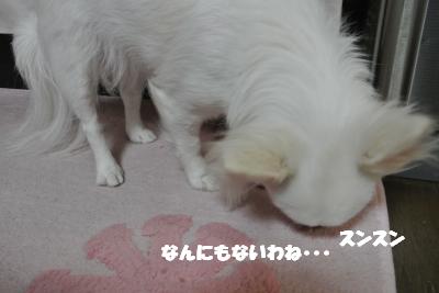 20121219+010_convert_20121219101004.jpg