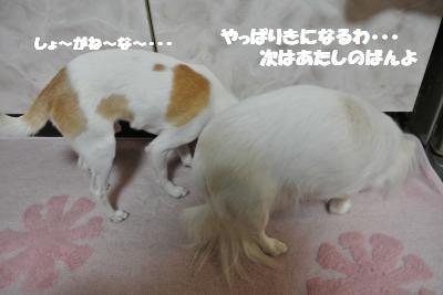 20121219+011_convert_20121219101042.jpg