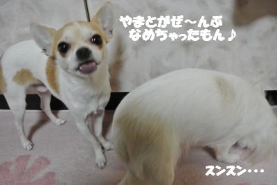 20121219+013_convert_20121219101109.jpg