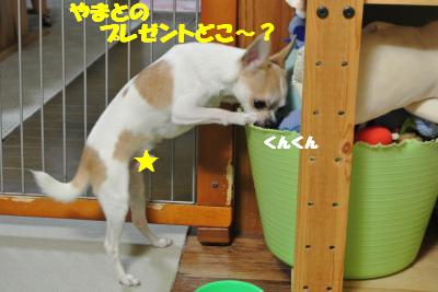 20121220+004_convert_20121220105618.jpg