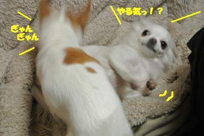 20121220+021_convert_20121220105153.jpg