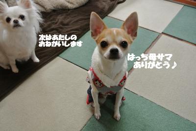 20121220+025_convert_20121220104729.jpg