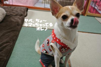 20121220+026_convert_20121220104849.jpg