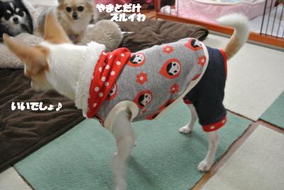 20121220+028_convert_20121220104957.jpg