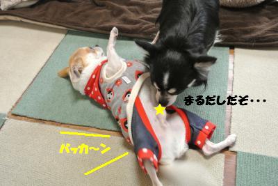 20121220+035_convert_20121220104539.jpg