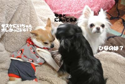 20121220+036_convert_20121220104607.jpg