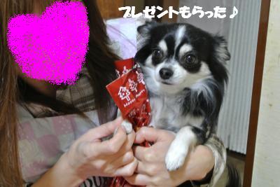 20121225+010_convert_20121225101955.jpg