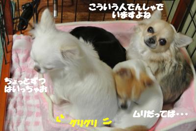 20121225+018_convert_20121225103514.jpg