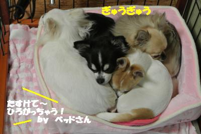 20121225+021_convert_20121225103950.jpg