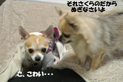 20121225+030_convert_20121225103014.jpg