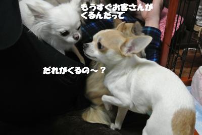 20121227+005_convert_20121227133006.jpg