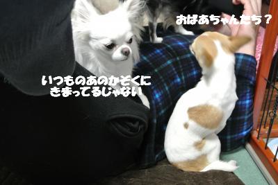 20121227+006_convert_20121227133034.jpg