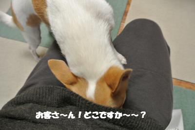 20121227+007_convert_20121227133059.jpg