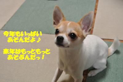 20121227+008_convert_20121227093553.jpg