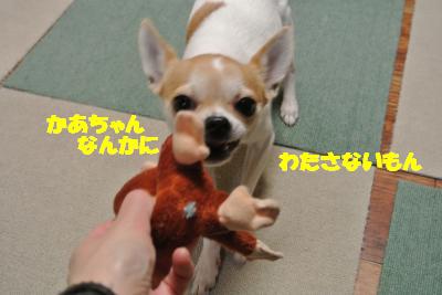20121227+009_convert_20121227093636.jpg