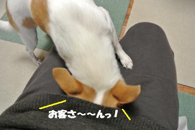 20121227+010_convert_20121227133129.jpg