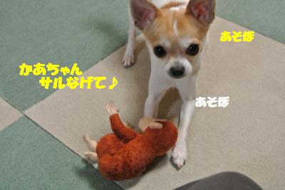 20121227+011_convert_20121227093714.jpg