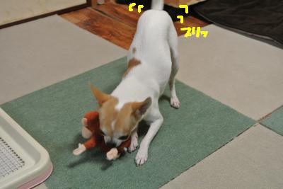 20121227+013_convert_20121227093813.jpg