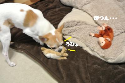 20121227+016_convert_20121227093953.jpg