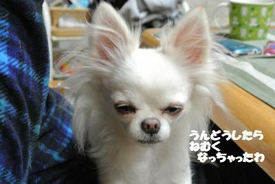 20121227+017_convert_20121227093517.jpg