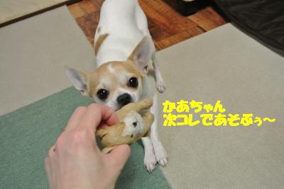 20121227+020_convert_20121227094032.jpg