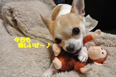 20121227+027_convert_20121227094141.jpg