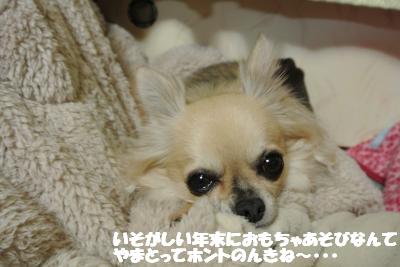 20121227+031_convert_20121227094304.jpg