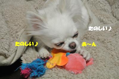 20130107+008_convert_20130108100627.jpg